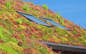 Tiptree Heath living roof systems